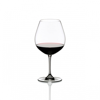 Vinum 2x Pinot Noir (Burgunder rot)