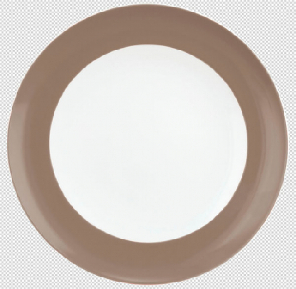 Seltmann Weiden Liberty Pure Colors Cocoa Brown